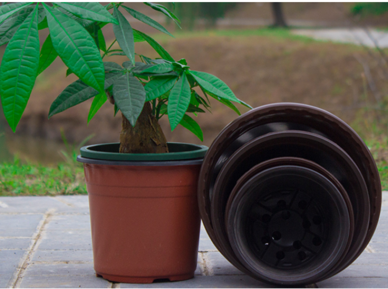 简易加厚一次性塑料花盆育苗盆大号营养钵培育盆多肉种植盆 外口径10