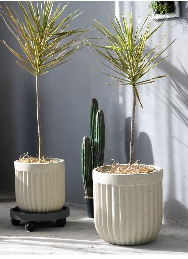 艺术花盆北欧氧化镁花盆简约现代创意圆形落地艺术盆客厅户外绿植盆栽