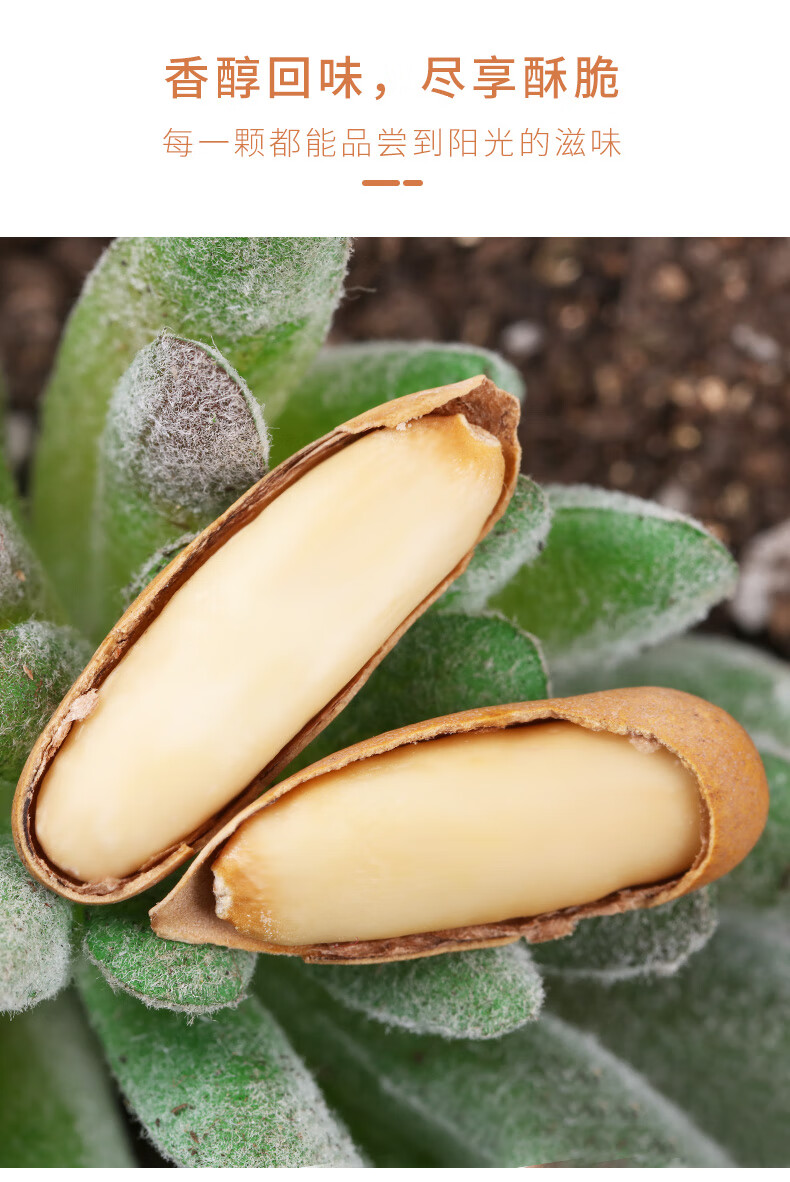 陆哥巴西松子500g手剥松子特大颗粒小包装坚果年货 (小包装大颗粒)新