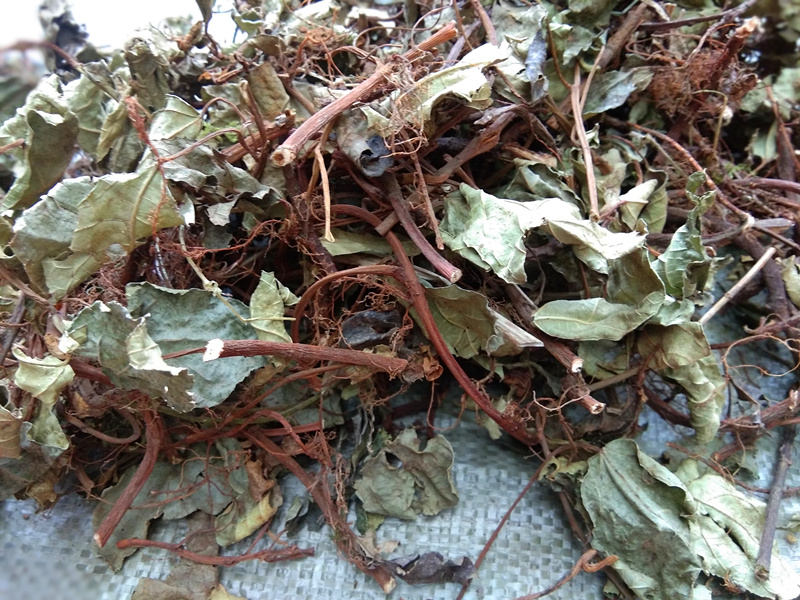 【官方旗舰】贵州 地瓜藤 现晒 野地瓜根地果全草干货500g【图片 价格