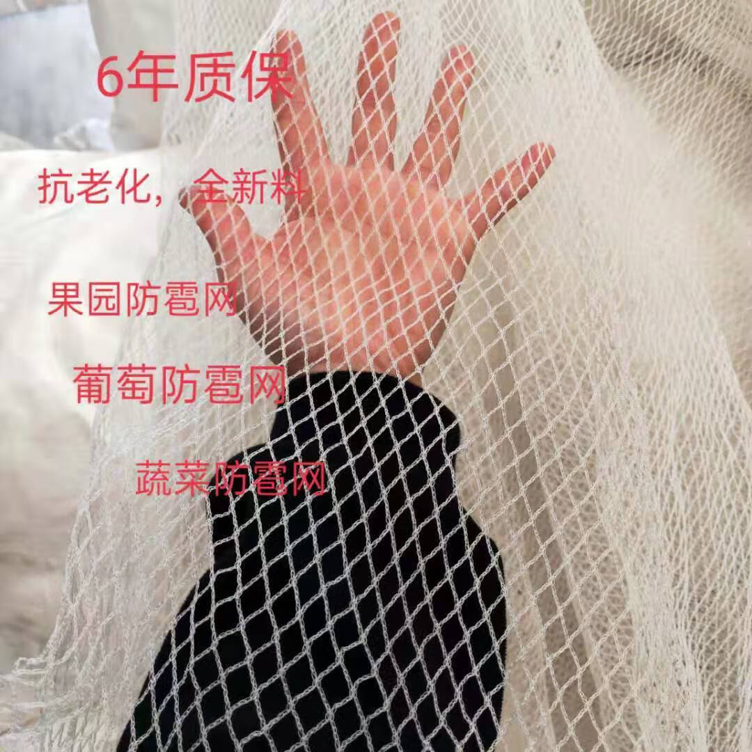 农用养殖养鸡尼龙网菜园防鸟网葡萄防雹网果园鱼塘网抬网渔网片麦桑荷