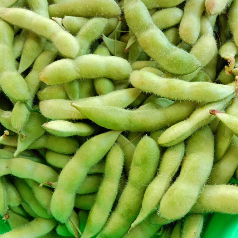 安徽芜湖沈巷新鲜毛豆带壳毛豆大豆当季豆角时令蔬菜 毛豆3斤加5袋110