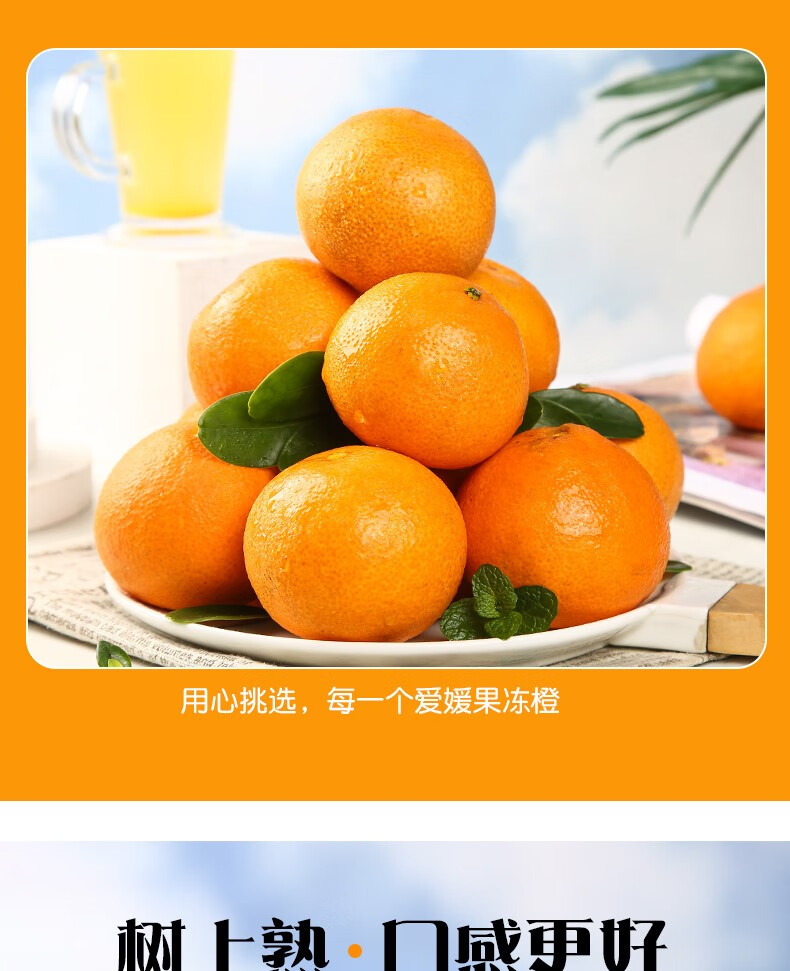 爱媛（定制改）_06.jpg