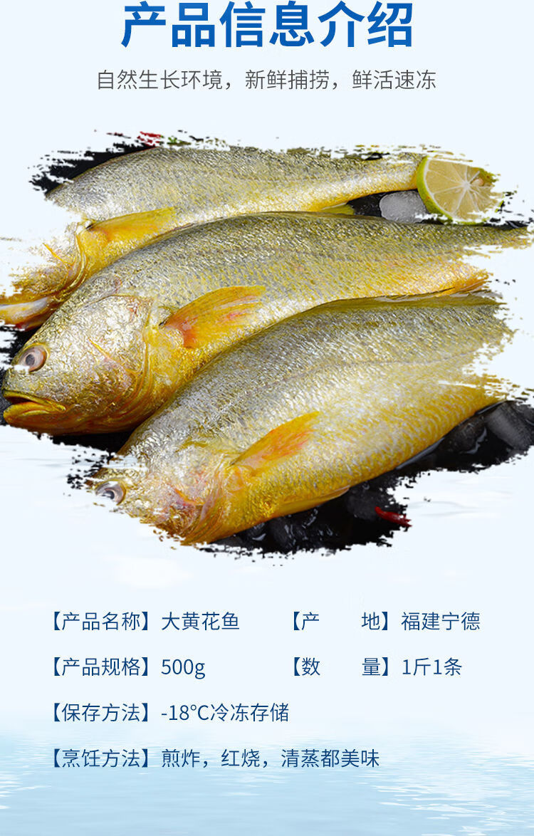 新鲜深海大黄鱼宁德黄花鱼1-5斤非东海黄鱼现捕现发鲜活冷冻华海春 3