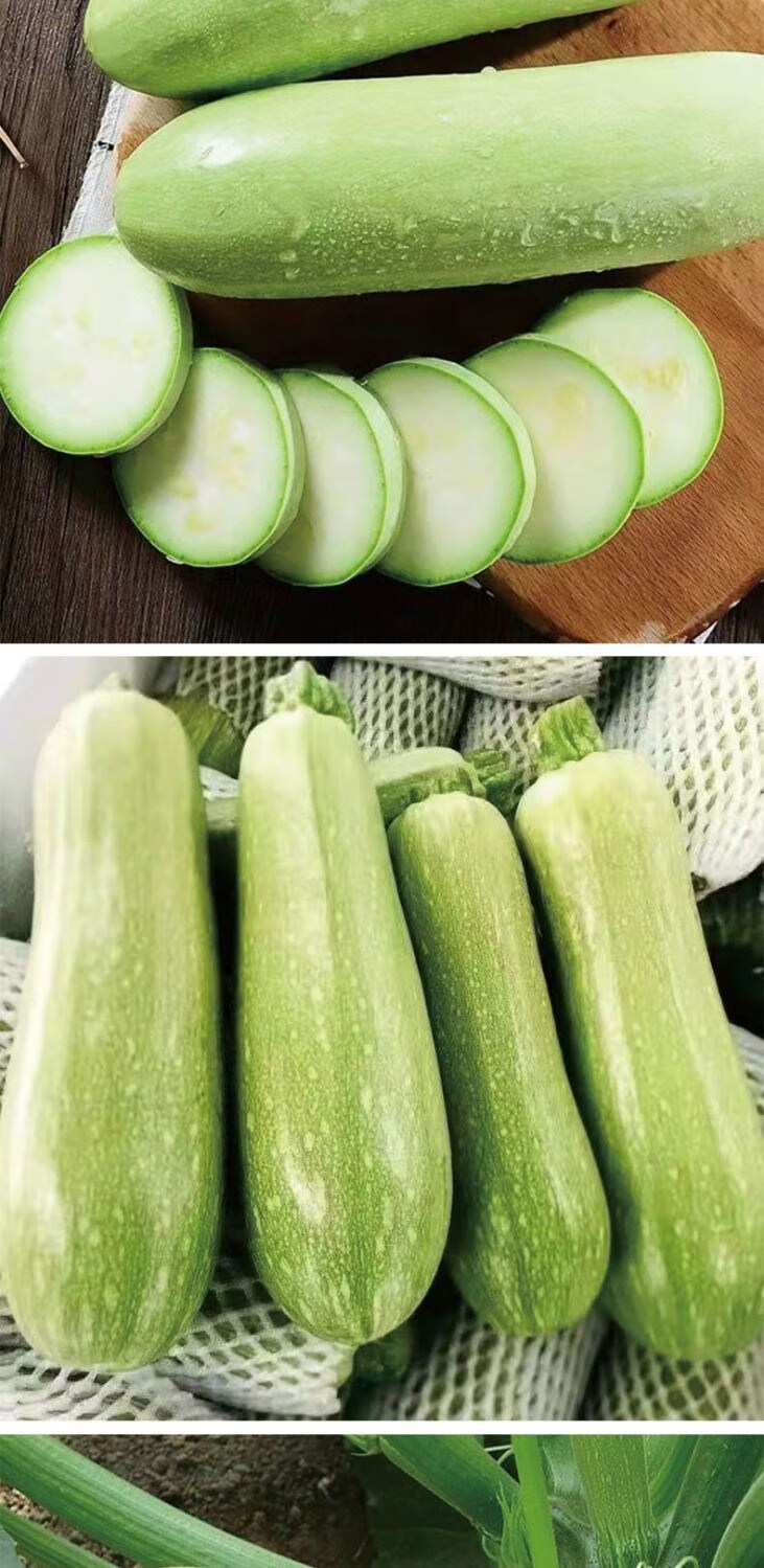 云南西葫芦9斤高原果鲜新鲜蔬菜番瓜白角瓜当季现摘农家瓜3斤5斤 西