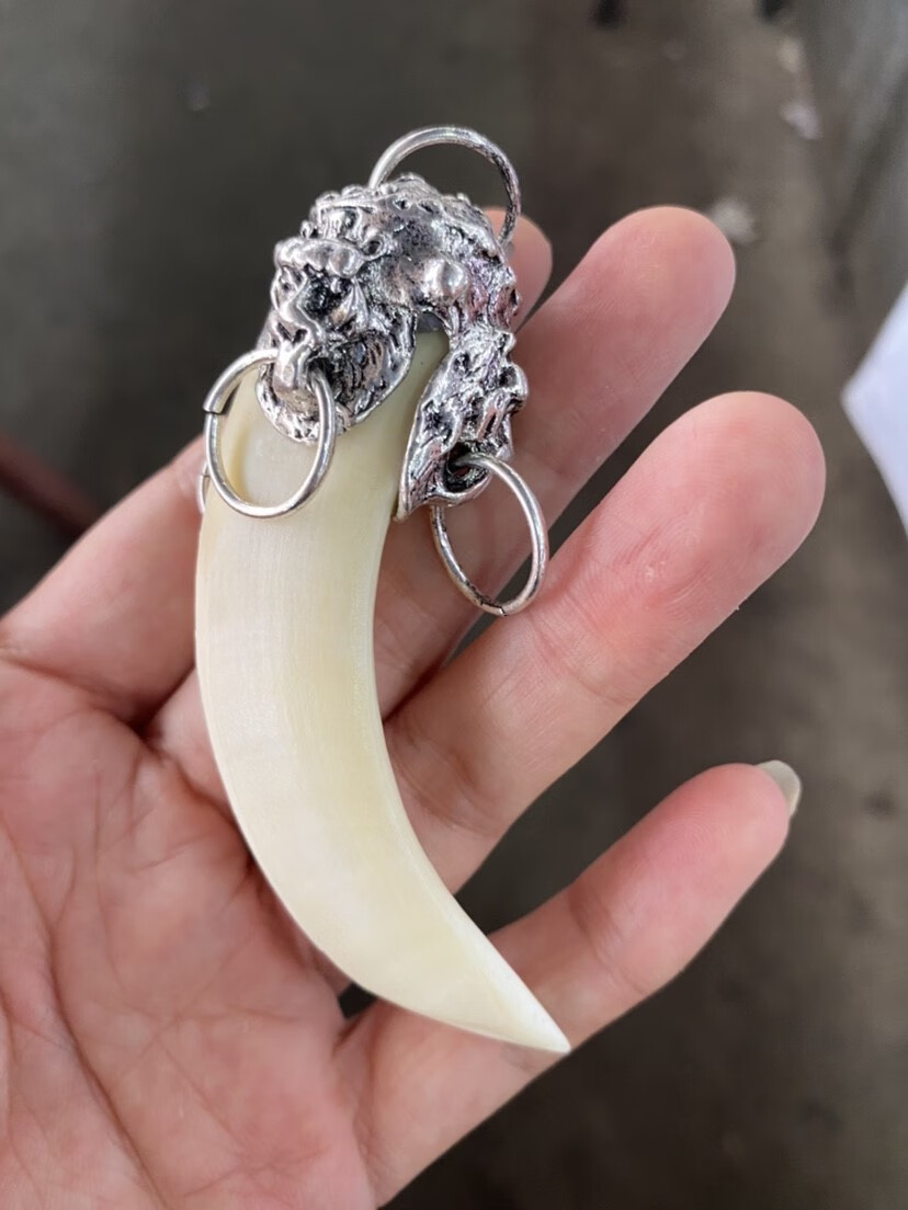 牧思(musi)古玩藏式大兽牙大猪牙手把件 关公藏银镶嵌盘龙牙挂件霸气