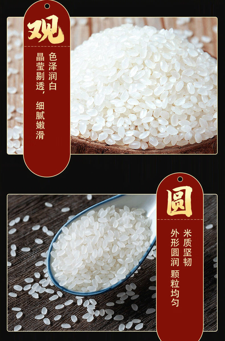 东北大米寒地珍珠米20斤5斤蟹田米圆粒香米厂家直发东北寒地珍珠香米
