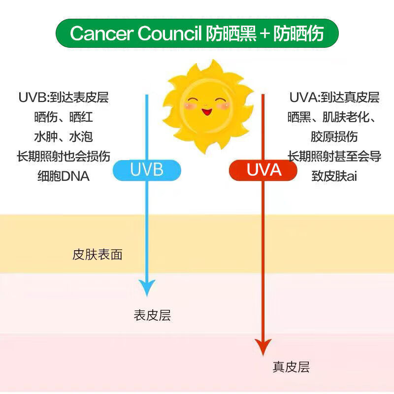 Cancer Council茜茜尔户外防晒霜清爽透亮不油腻不假白户外学生 防水蓝色75ml*适合游泳出汗时使