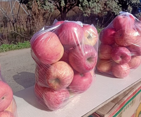 装苹果塑料袋子红萝卜苹果打包带白色透明包装袋防雾手提袋保鲜袋 24*