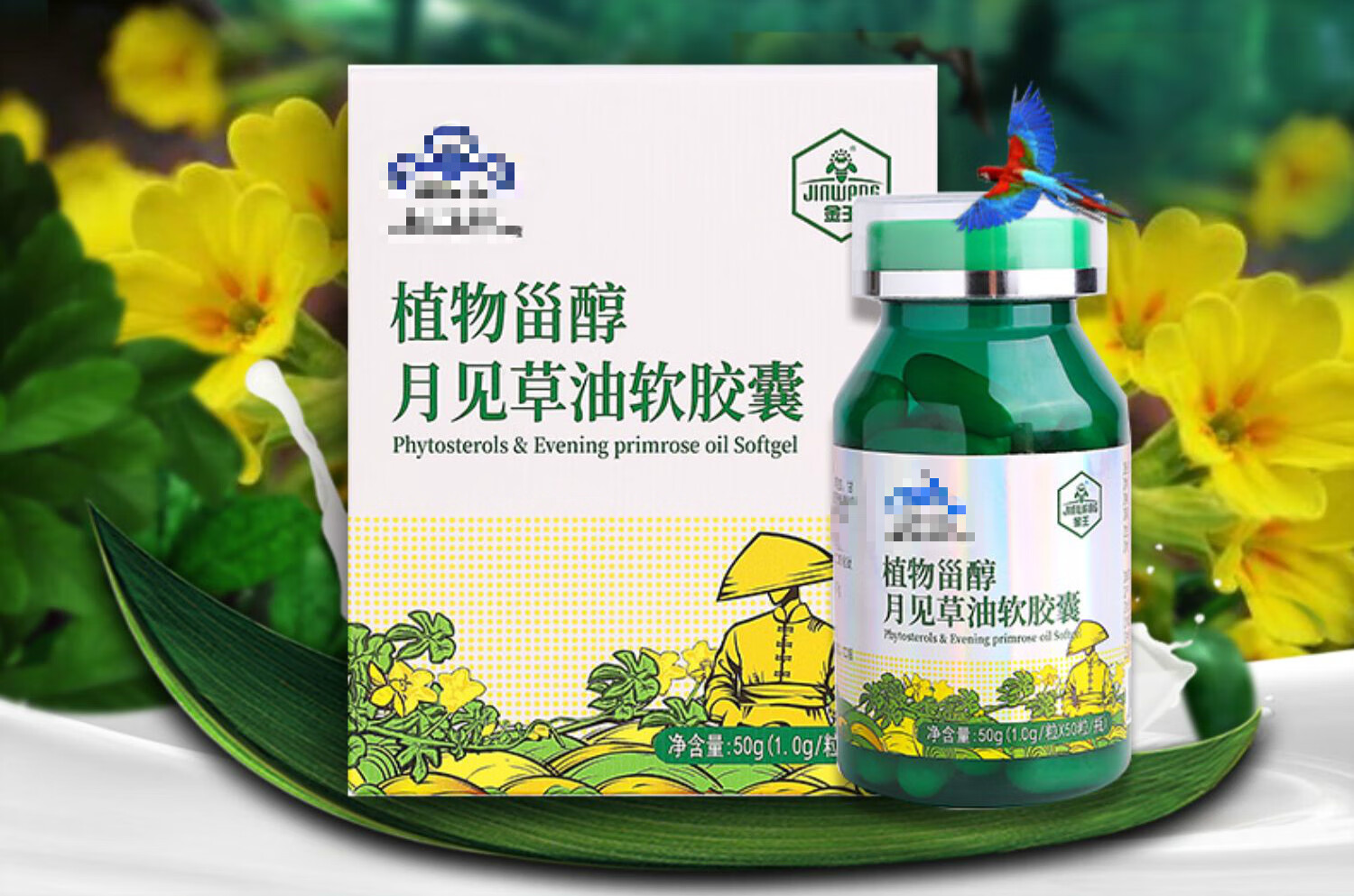 黄花草油酸月见草软油胶囊茶鱼油中老年的保健品