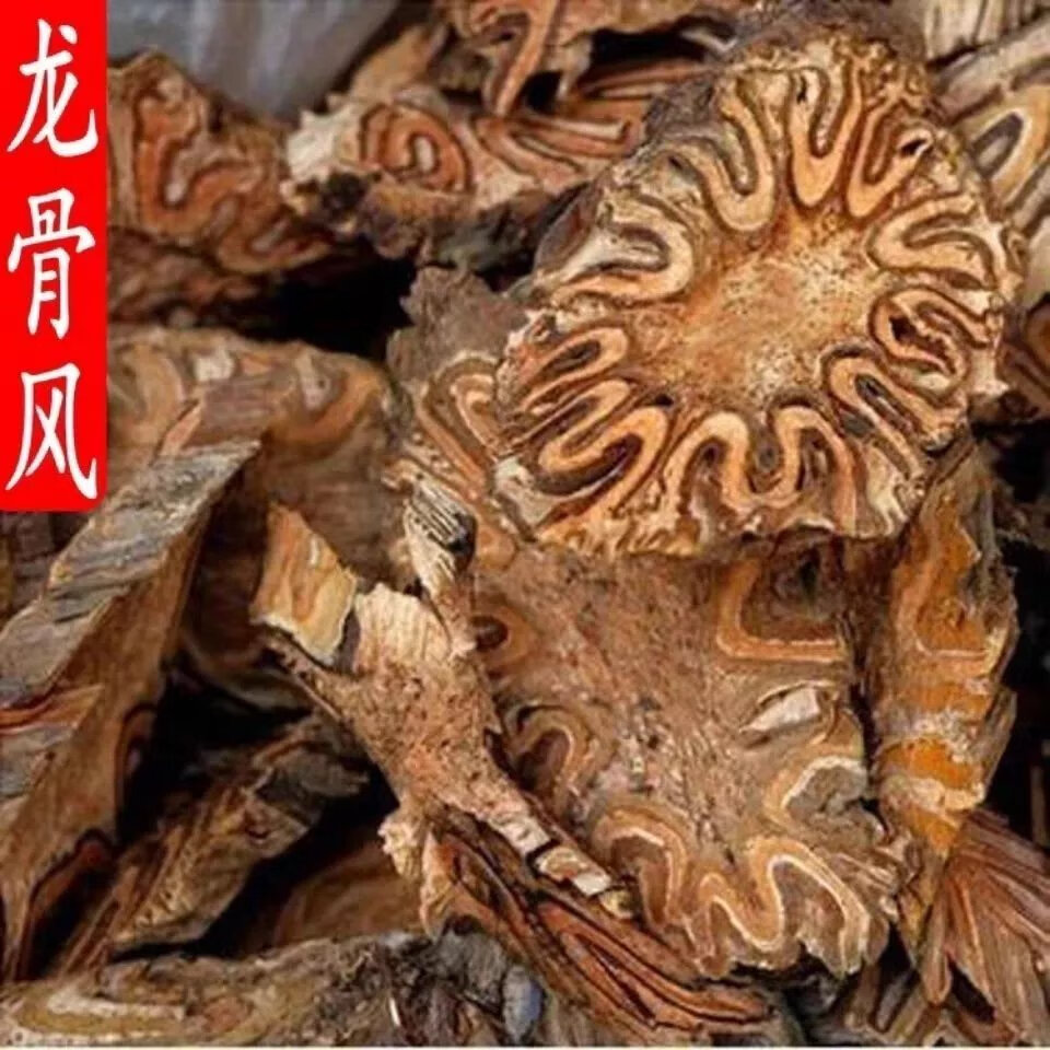 北京同仁堂原料 龙骨风50g1000g中药材野生新货桫椤飞天擒罗禽捞飞天