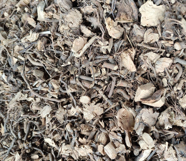 【官方旗舰】材粗叶悬钩子根 八月泡根 发货为根部切好的干品一斤的量