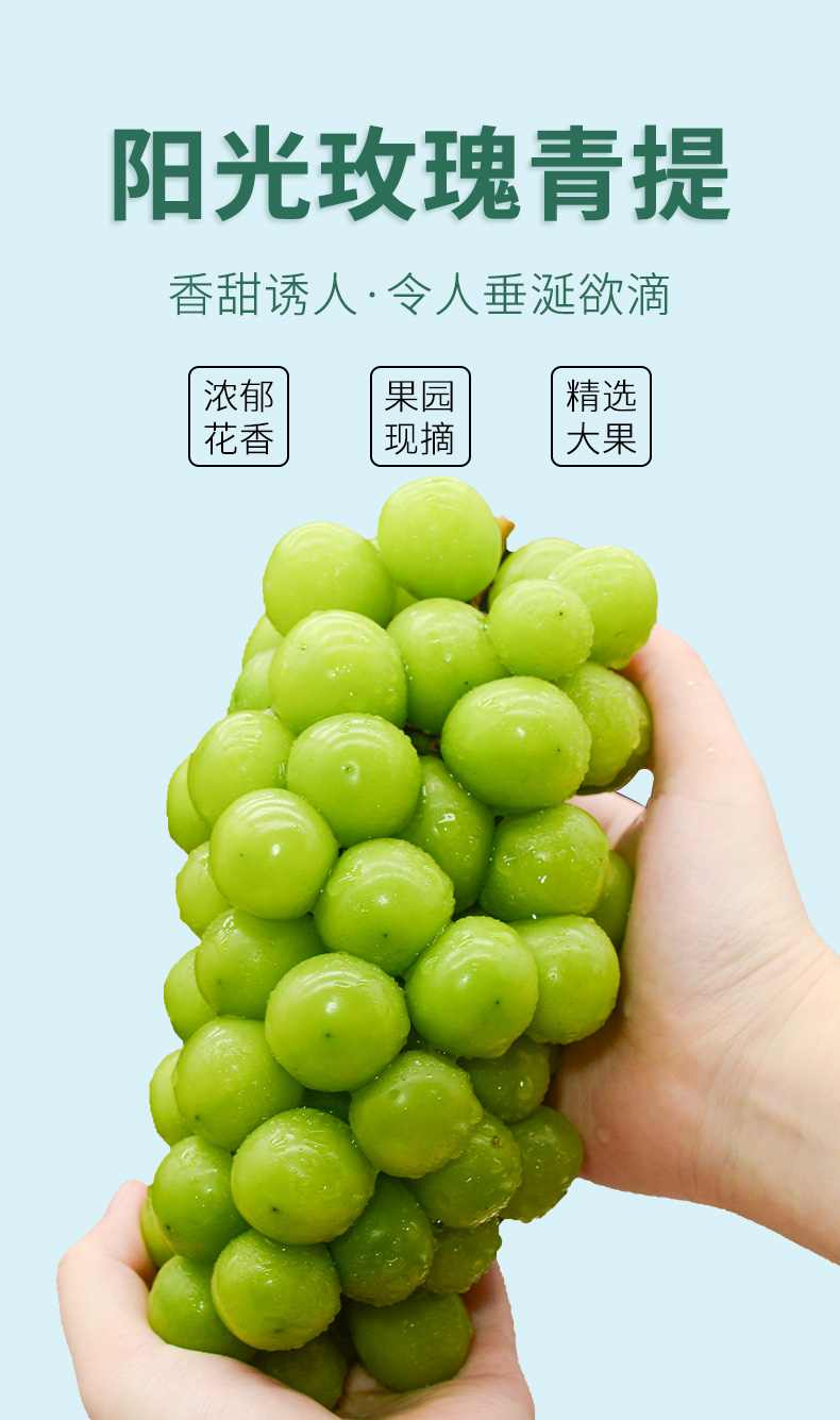 精品礼盒阳光玫瑰葡萄3斤提子新鲜水果香印青提晴王云南