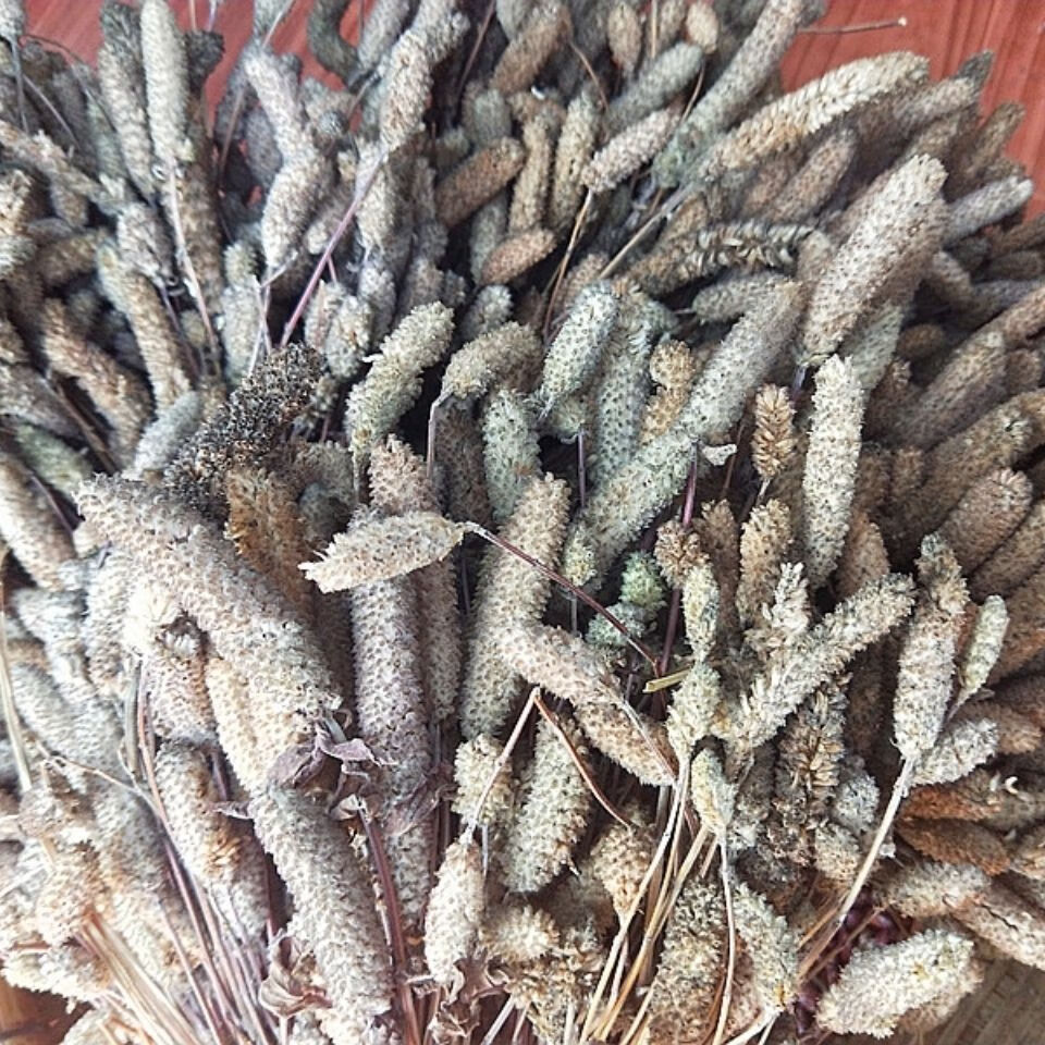 有仁堂新货贵州毕节木姜花20朵 酸汤饭豆花连渣闹蘸水香料木江华木浆