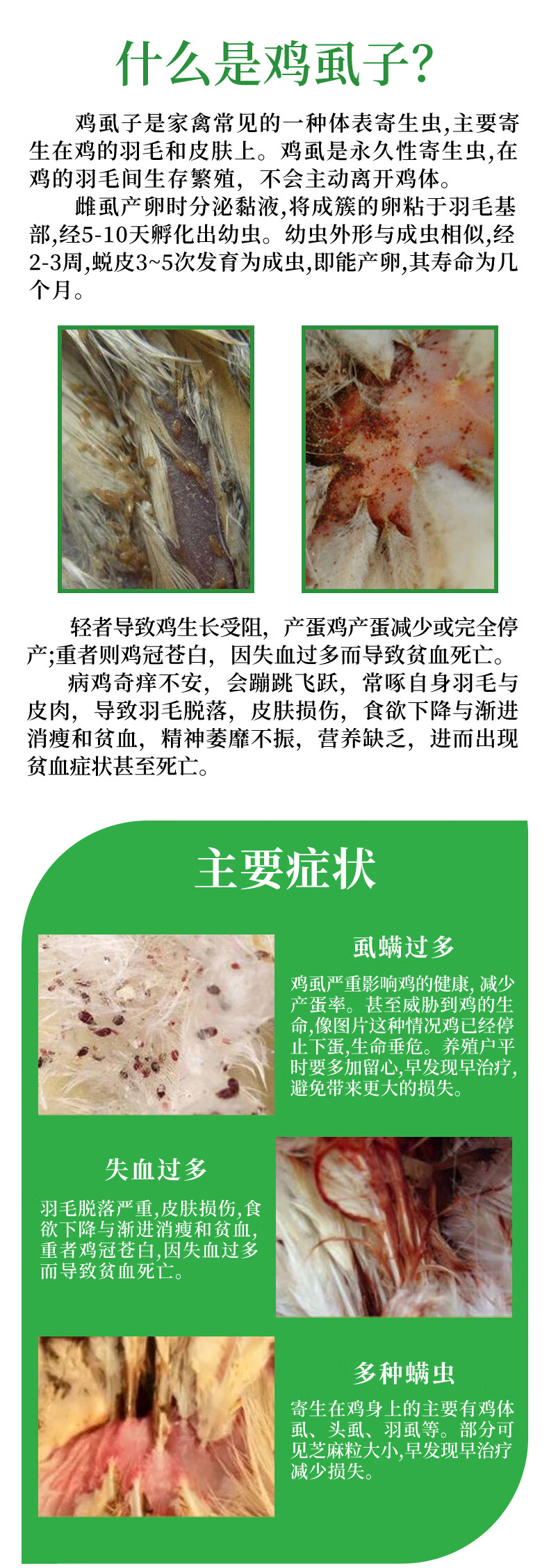 现货速发鸡虱子药灭鸡虱子药除跳蚤螨虫杀虫剂养鸡场鸡舍体外寄生虫