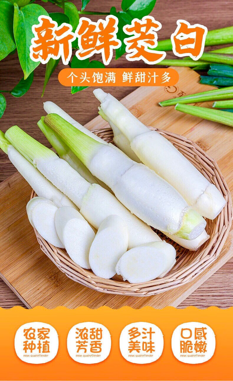 新鲜农家高山茭白产妇月子下奶茭笋水笋时令蔬菜茭笋高笋新鲜农家现摘