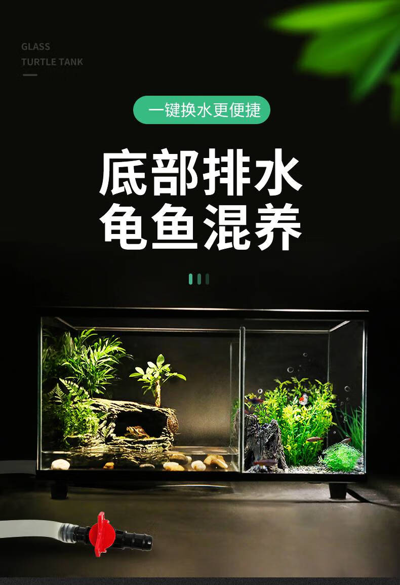 乌龟缸龟客厅小型鱼混养生态缸造景金鱼玻璃家用免换水鱼缸屋房 中号