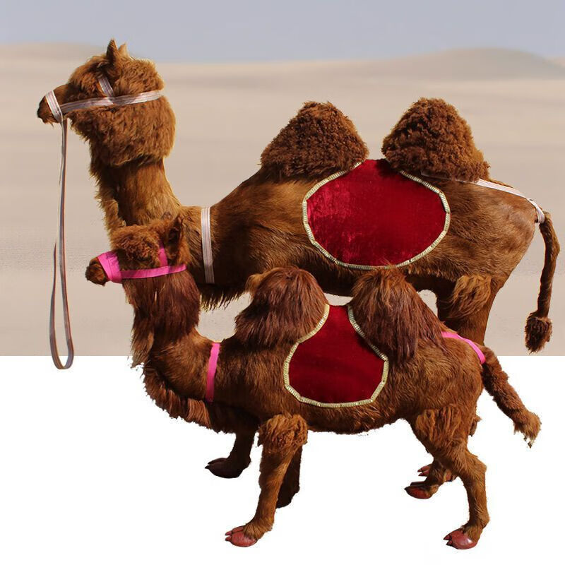 仿真大型动物模型 骆驼沙漠户外景点景区拍照展厅装饰骆驼道具 仿毛2