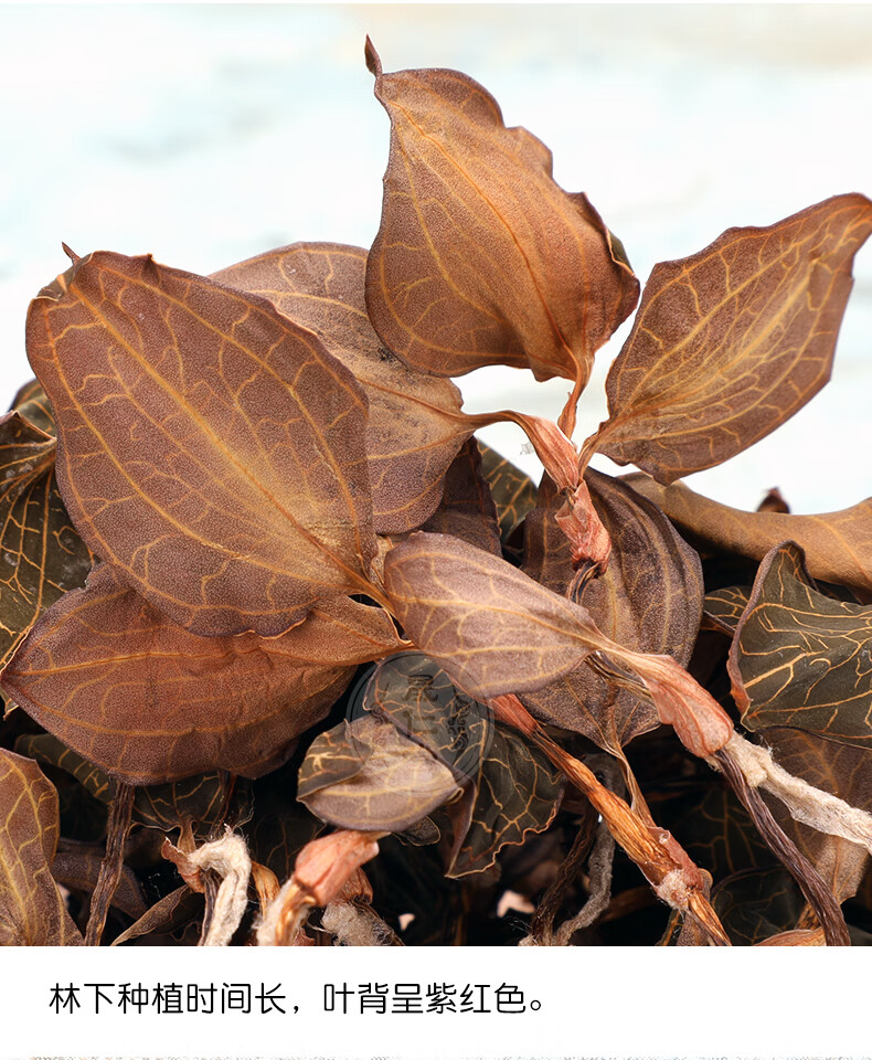 秋博源 福建南靖金线莲浓香型特级整株泡饮干品20小包共50g礼盒装