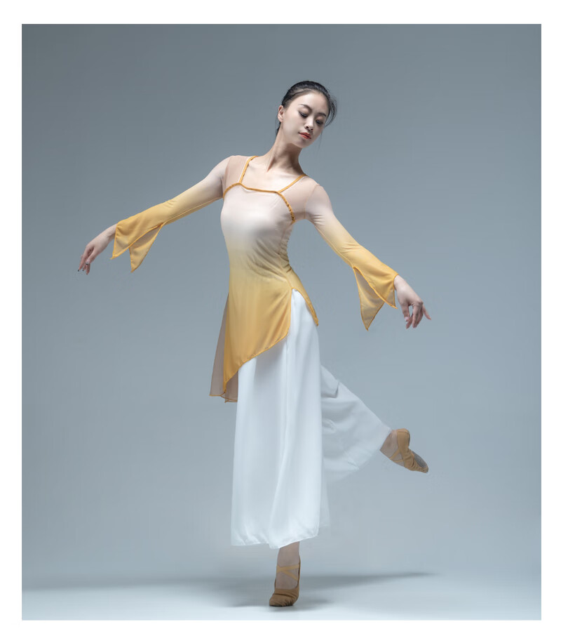 古典舞服身韵纱衣秋冬女飘逸中国舞蹈演出练功服基训服敦煌民族舞砖红