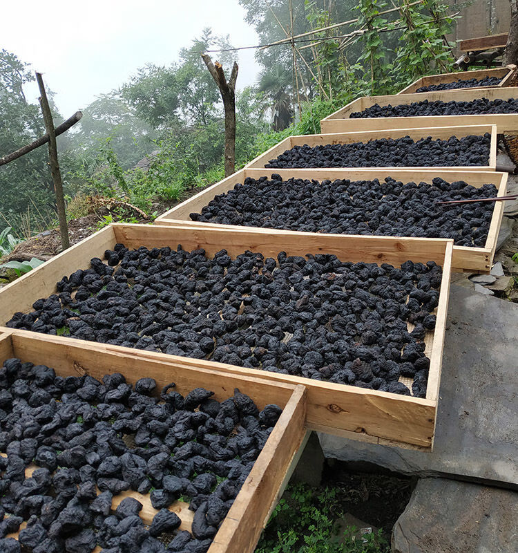 熟地500克特级熟地黄中草药九蒸九晒野生怀地黄补血贫血煲汤泡酒熟地