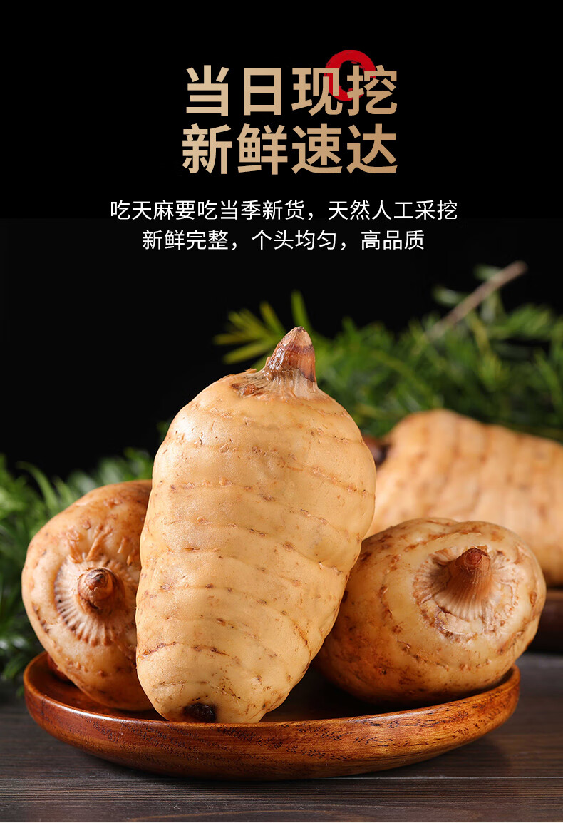 【顺丰配送】昭通天麻新鲜野生云南小草坝特级正品鲜天麻现挖现发