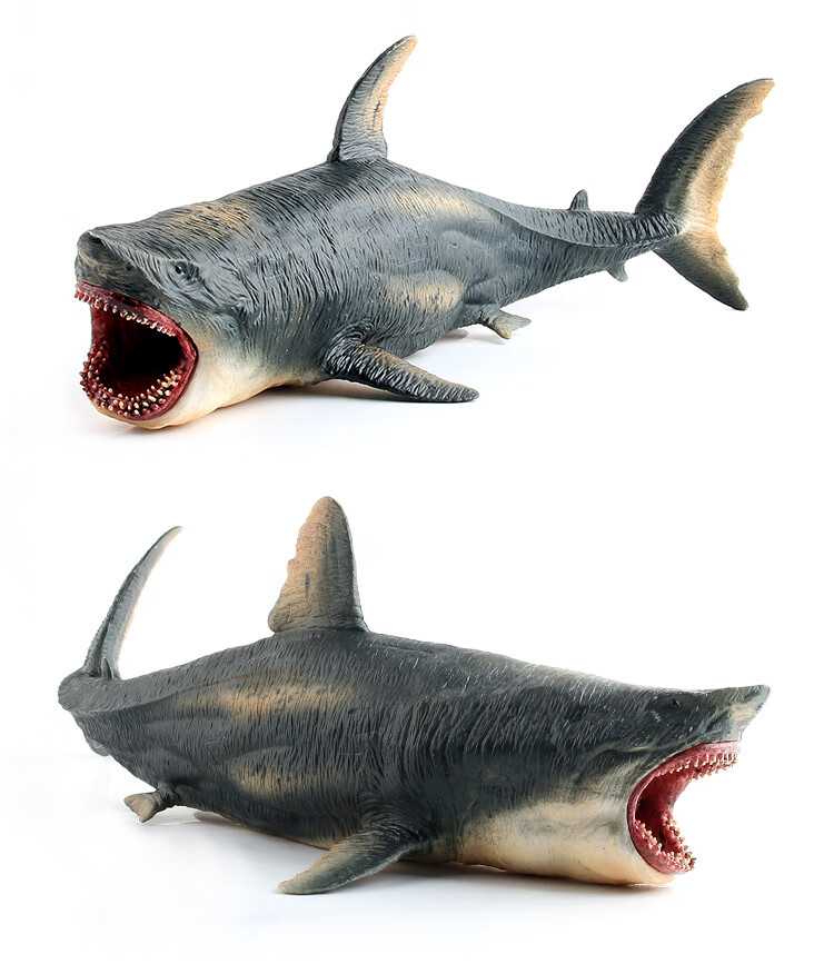 澄可儿童海底动物模型仿真鲨鱼玩具海洋生物远古巨齿鲨模型大白鲨
