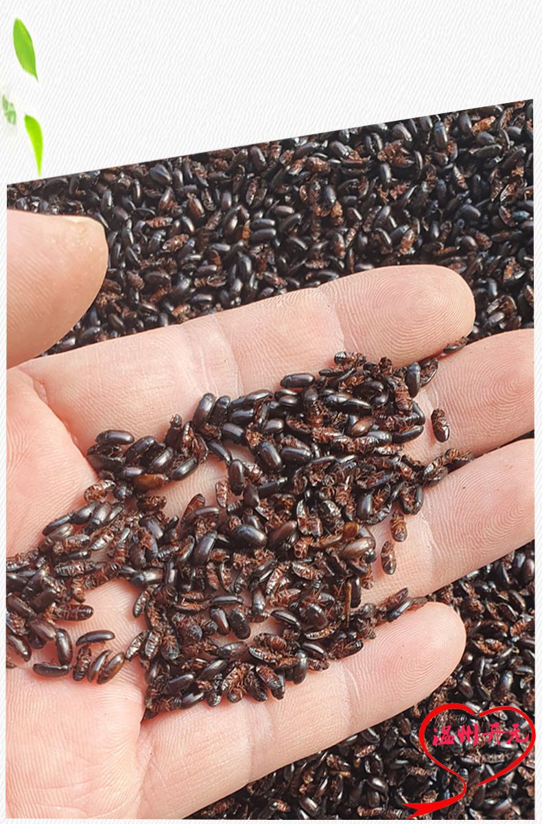 有仁堂【药房验货】九龙虫 洋虫 干品 非活体 活体烘干 药用食用 提高