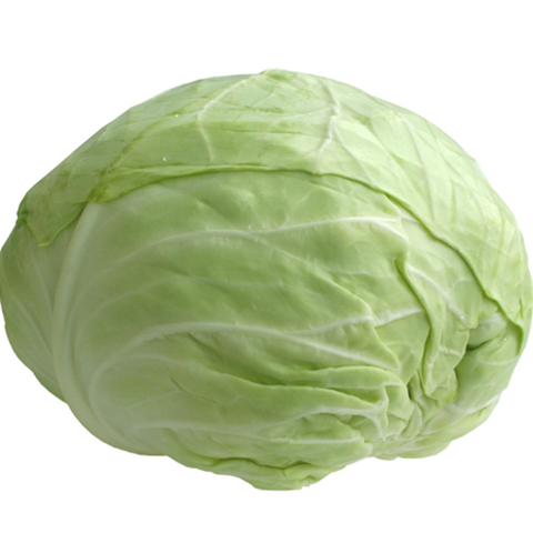 新鲜抢10斤新鲜高山包菜卷心菜莲花白手撕圆白菜110斤带箱566斤装普通