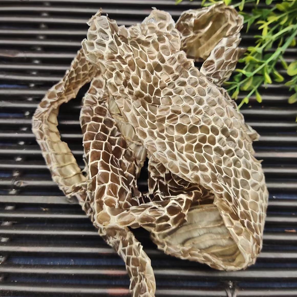 【官方旗舰】中药材 蛇皮 干蛇皮 龙衣长蛇皮 中药材晒干蛇皮 蛇脱500