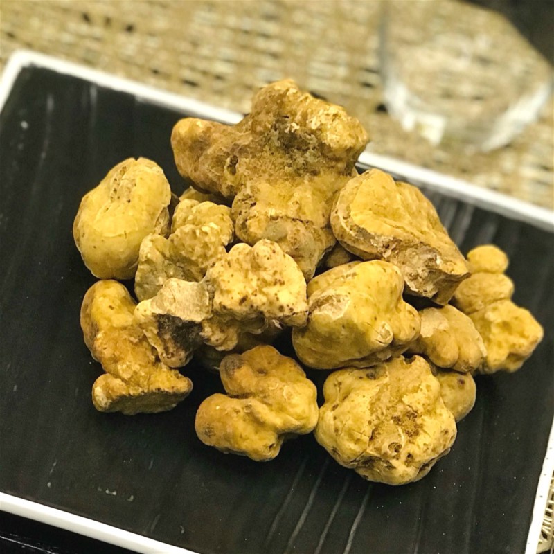 喜盼春来新鲜意大利阿尔巴半岛白松露菌礼盒装送领导女朋友导师礼物