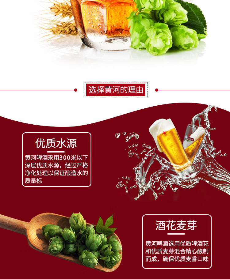 兰州黄河啤酒 500ml 国产经典甘肃瓶装罐装 6瓶装500毫升干啤王【图片