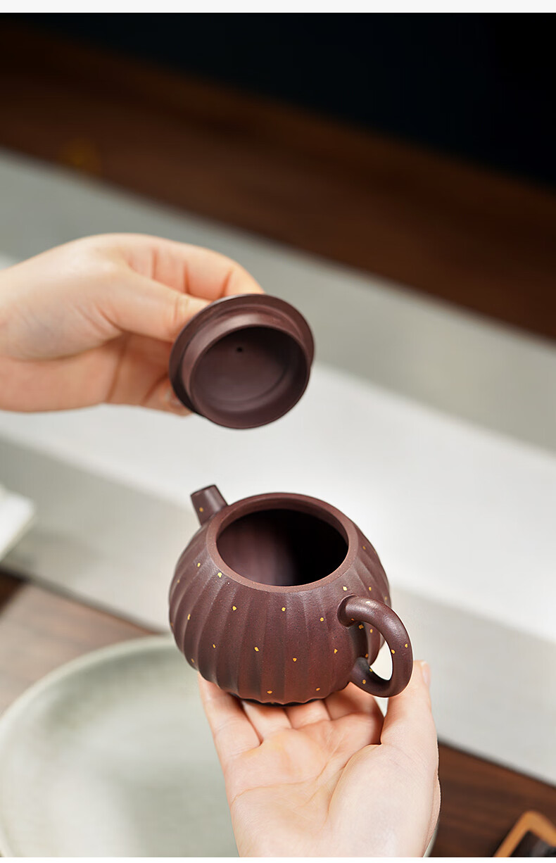 自在匠心 宜兴紫砂壶纯手工功夫茶具泡茶器家用喝水大小冲茶壶 悠然