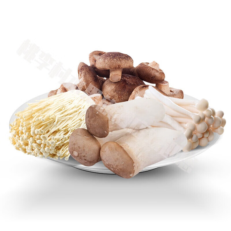 新鲜杏鲍菇金菇香菇平菇海鲜菇鸡腿菇玉菇蘑菇菇现采现菌菇组合杏鲍菇