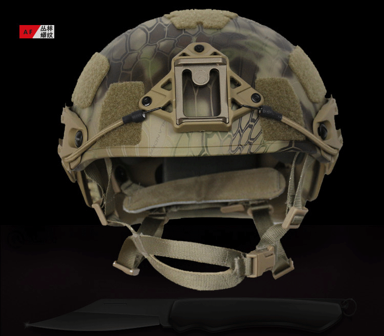 airframe战术头盔 cp 墨鱼干导轨组合式af头盔 防暴户外骑行迷彩 aor2