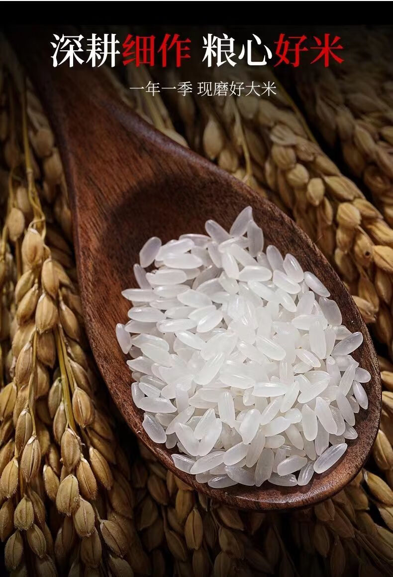 东北珍珠贡米长粒香大米10斤20斤装批发2022年现磨新米产地直发 寒地