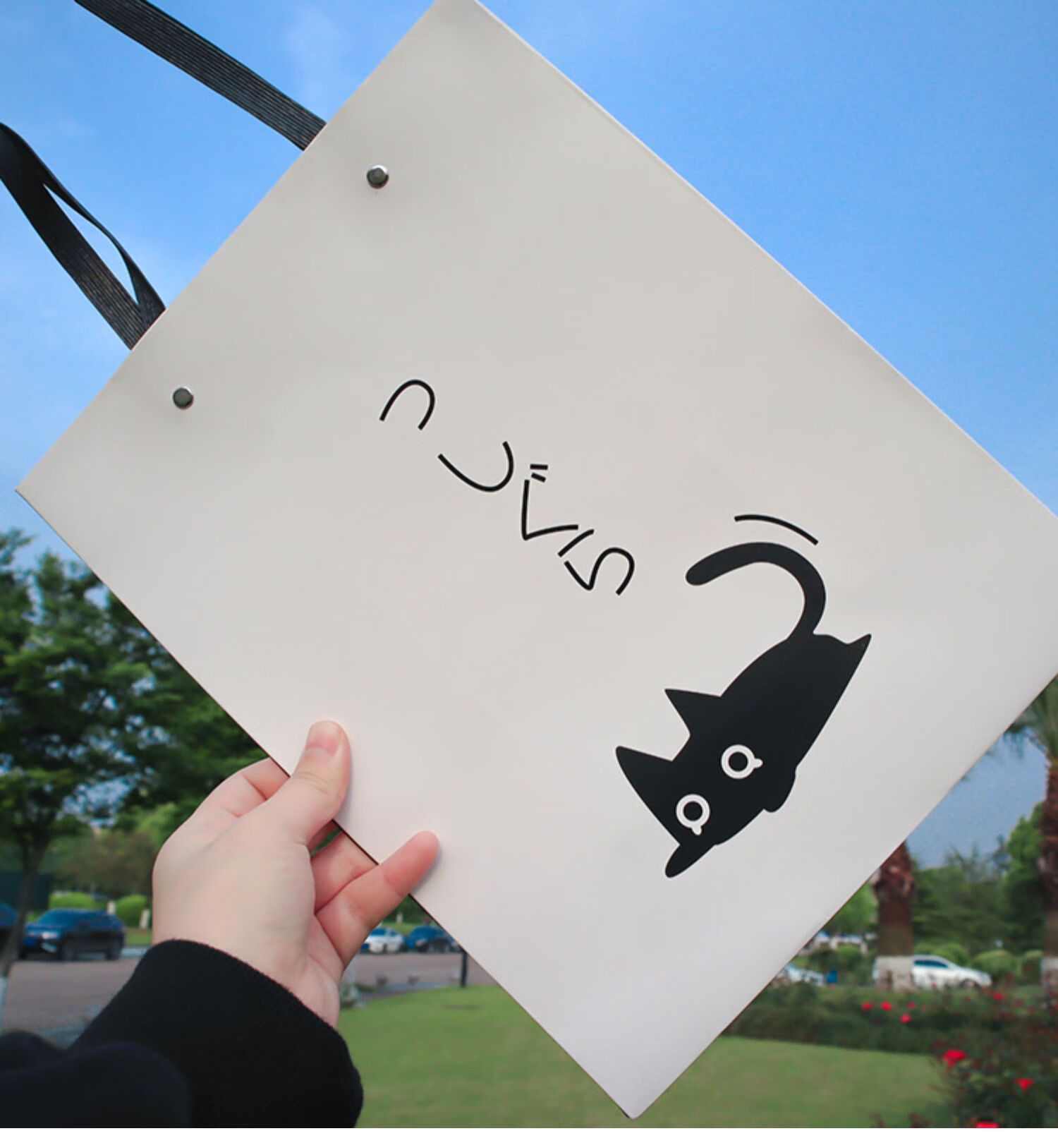 可狄 景超富康 精美简约礼品袋子卡通可爱小猫纸袋精致外出手提袋生日