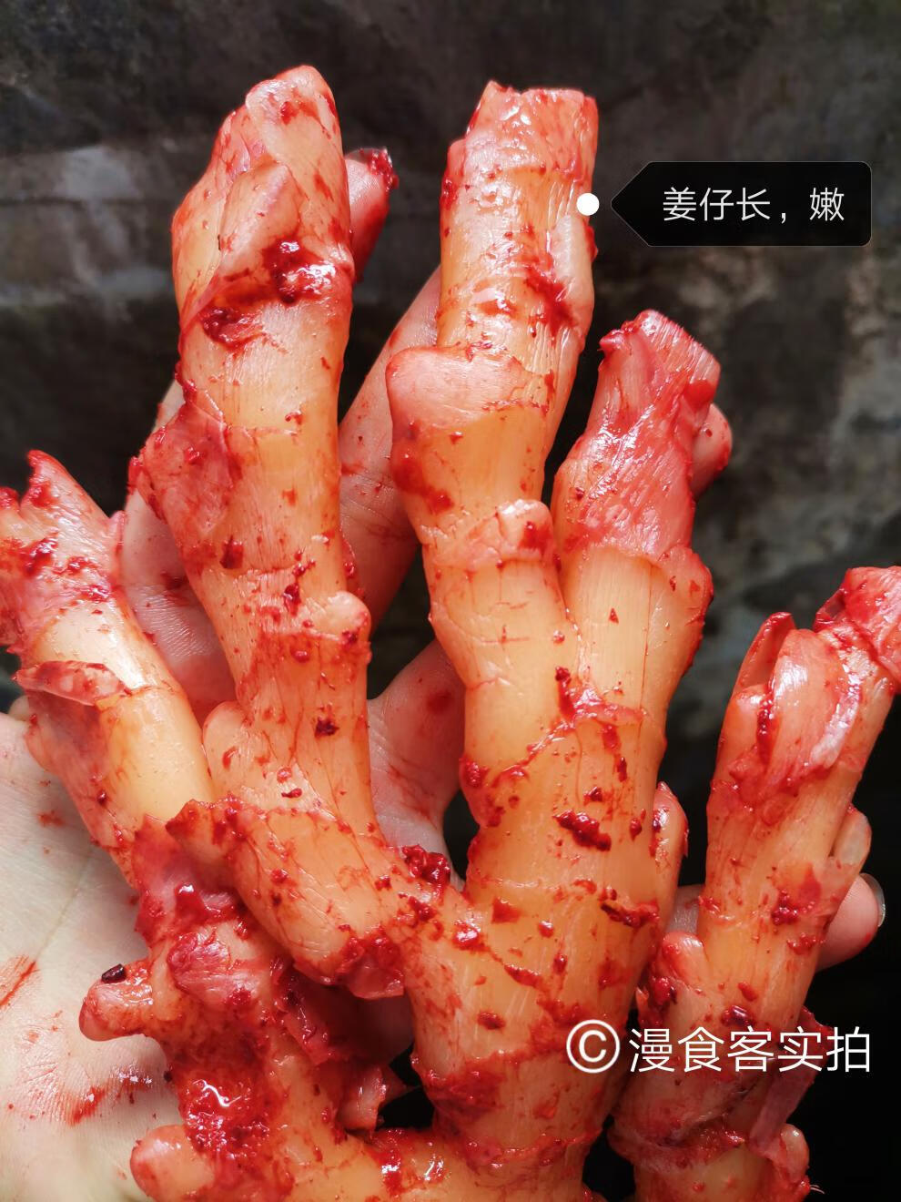 福建古田特产农家自制红酒糟生姜 嫩生姜糟姜腌姜咸菜500克 菜500克