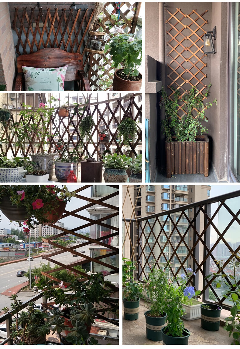 花架网格花墙架铁艺客厅挂墙壁架子装饰阳台墙壁绿萝悬挂式花盆架