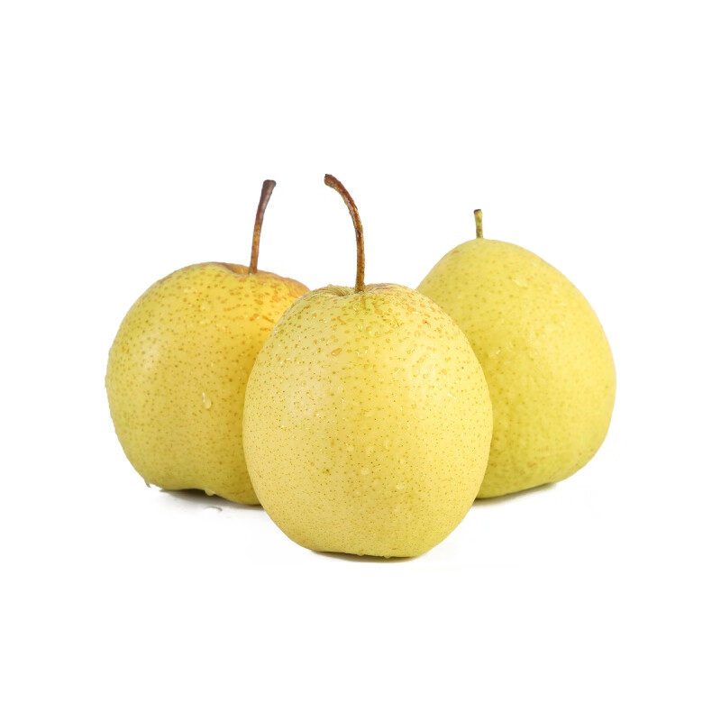 雪花梨赵县新鲜梨雪梨水果新鲜当季梨子新鲜10雪梨整箱5斤9斤 3斤 大