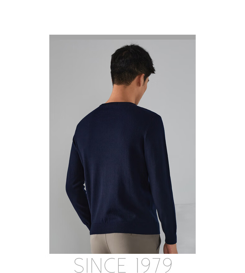 YOUNGOR [100% Wool] Autumn And Winter Men's Warm Business Casual Round Neck Sweater VYQW639994FYA, Navy Blue, S 11