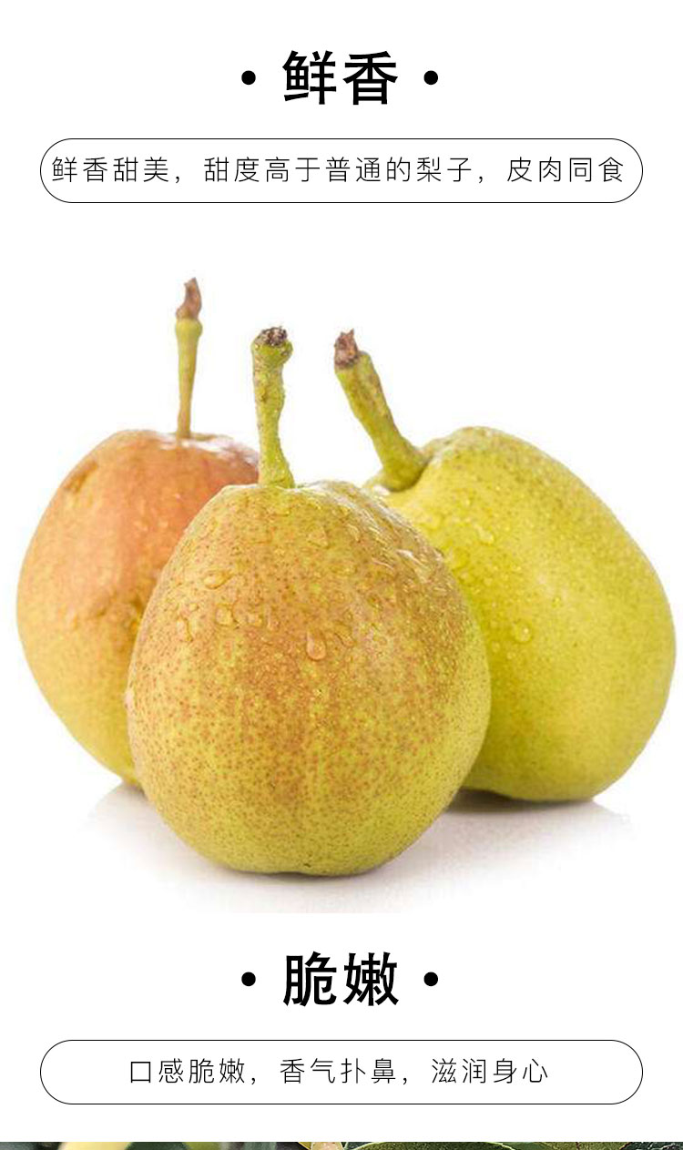 新疆库尔勒香梨带箱新鲜梨子雪梨果肉脆甜水果库尔勒小香梨 京东生鲜