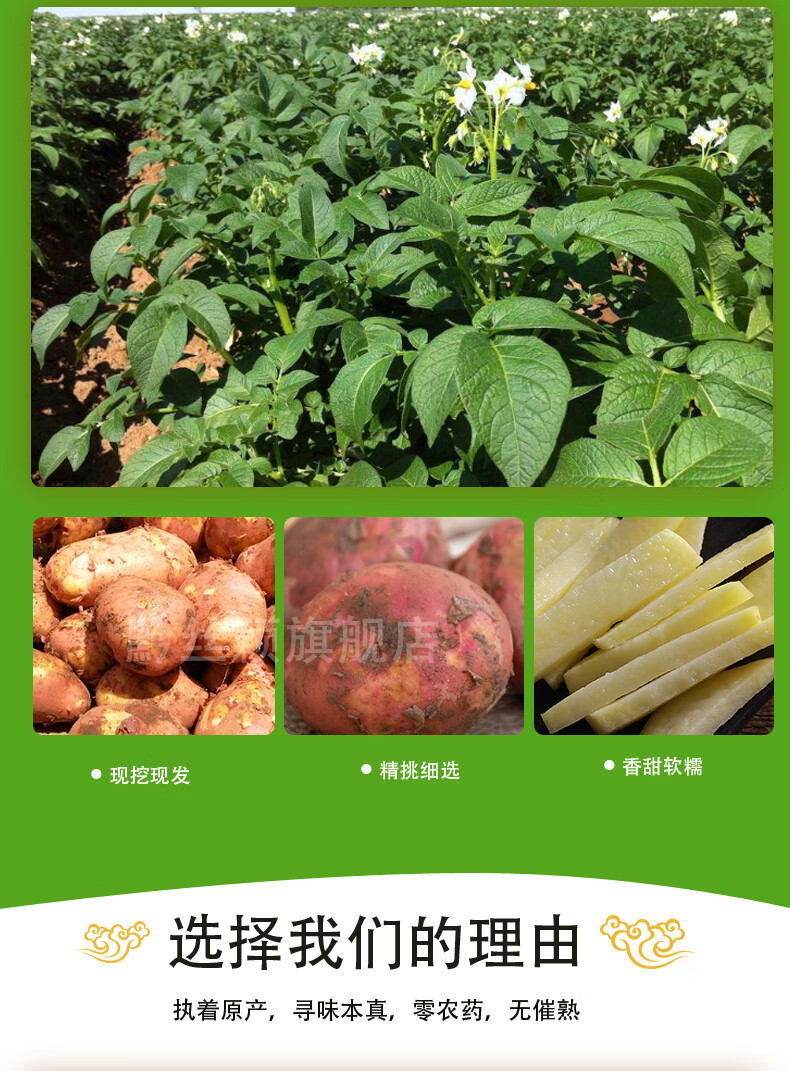 云南红皮黄心土豆马铃薯洋芋带箱10斤中土豆农家蔬菜粉糯土豆洋芋 图片价格品牌报价 京东