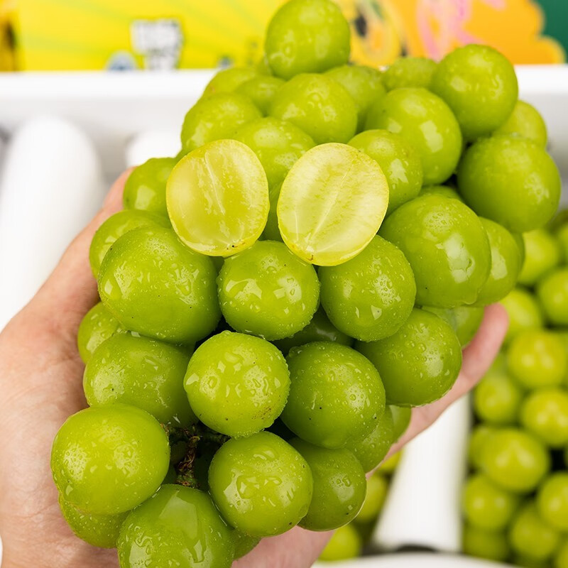 溏心风暴超甜晴王香印4斤礼盒装云南花香提子青提新鲜水果同城 1900g