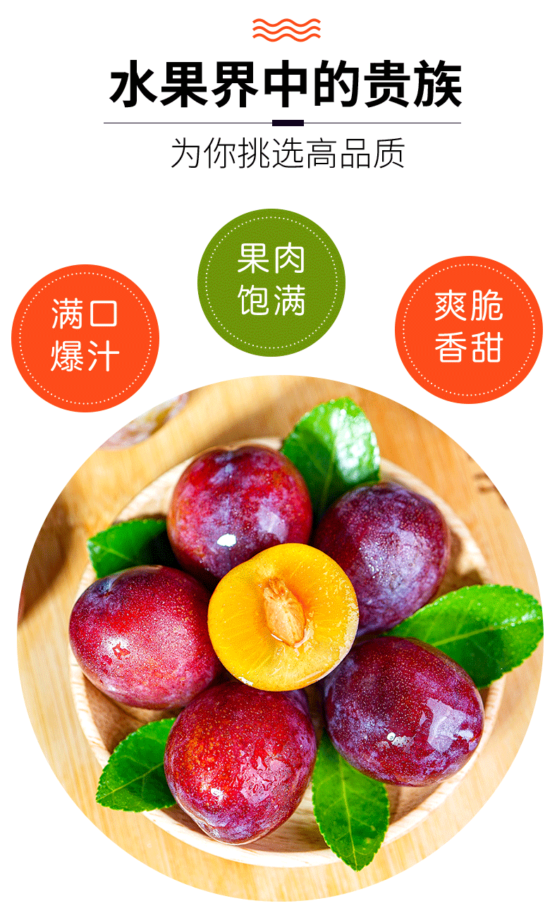 新疆西梅 正宗喀什法兰西西梅大果当季整箱应季孕妇新鲜水果杏梅梅子