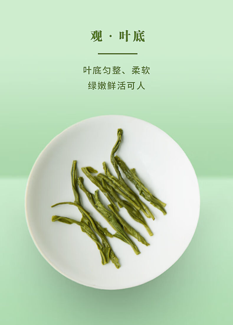 秀芽200g罐装2021新茶茶叶 永川.