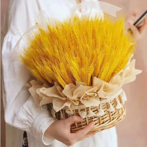 麦穗开业大麦干花田园装饰干花插花摆件diy混搭仿真花束金色麦穗400支