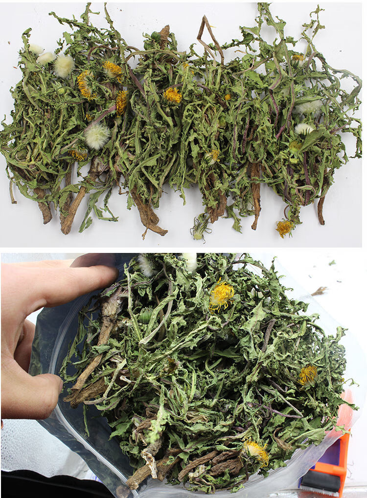 蒲公英干整棵泡茶散结婆婆丁根茶整棵野生蒲公英1000g