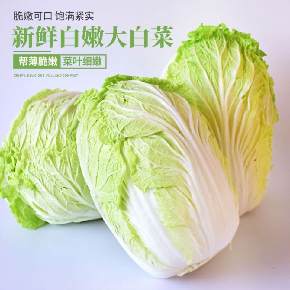 现砍大白菜新鲜蔬菜时令小青菜包菜白菜农家自种叶菜囤货批发3斤