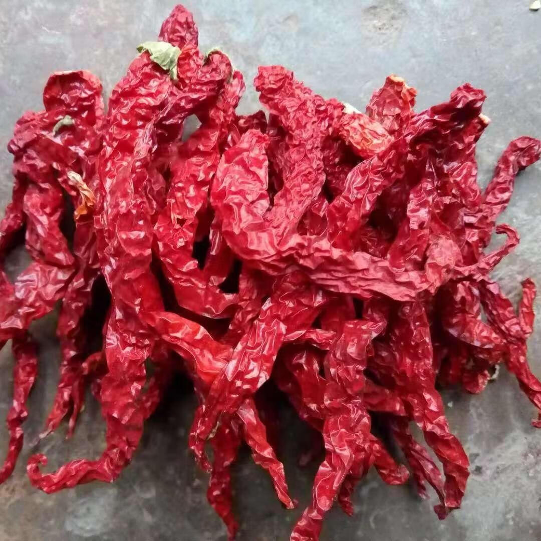 特香辣贵州大方特产皱皮辣椒之乡二荆条毕节皱皮干辣子 半斤(不带把)